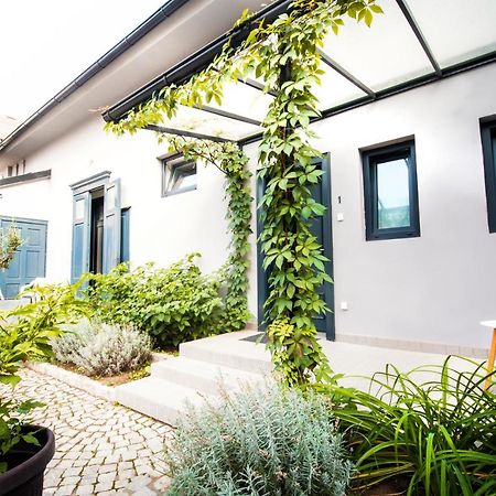 נובי סאד Apartmani Sterija מראה חיצוני תמונה